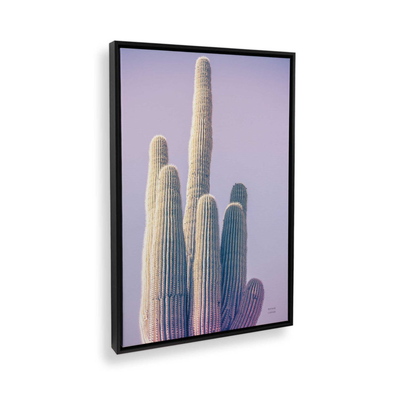 «Saguaro Purple Pastel» par Nathan Larson, reproduction d'art sur toile, Noir, H 30 po x l 20 po, Cadre flottant
