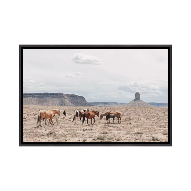 « arizona », photographie, H 18 po x l 26 po x P 1,5 po, Toile avec cadre noir patiné