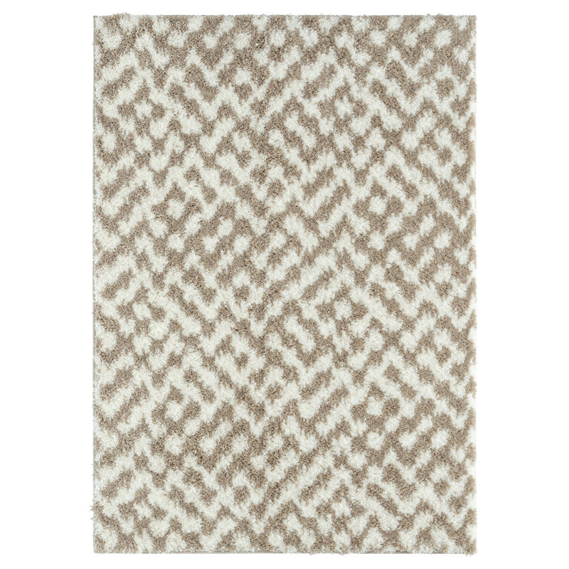 Tapis d'intérieur à poils longs Kruitbosch, Rectangle 5 pi x 7 pi