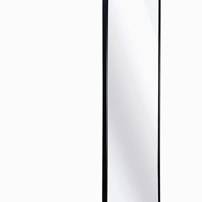 47 x 14IN Door mirror.(W2203P182244)
