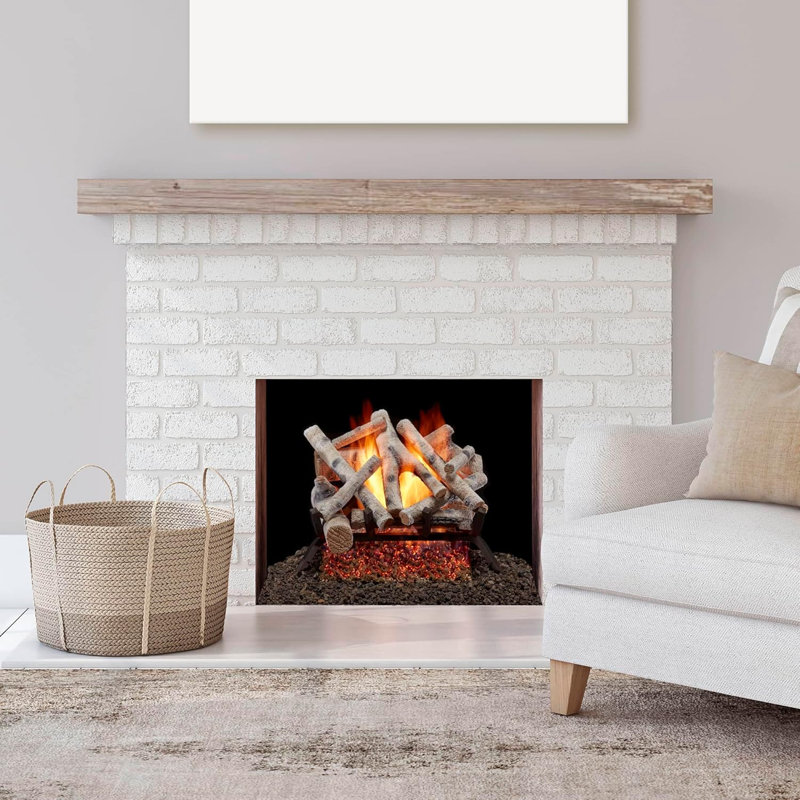 Ensemble de bûches de foyer au gaz naturel ou au propane ventilé Bluegrass Living avec ensemble de télécommande - Bois de bouleau de 18 po, 45 000 BTU - Modèle no. LPL18-2-RO
