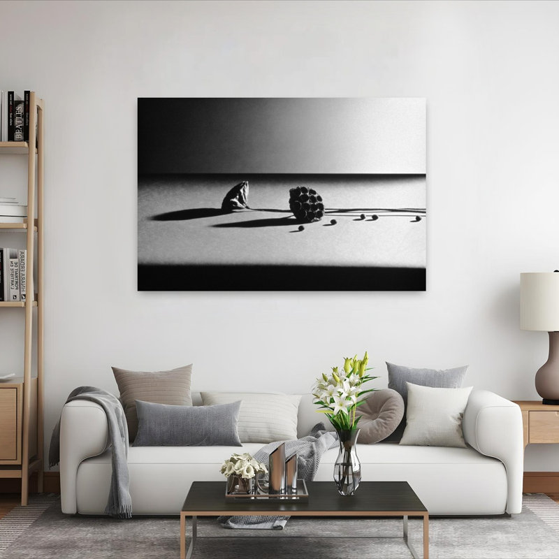 Art mural contemporain noir et blanc de cosses de graines sur table sur fond blanc, H 40 po x l 60 po