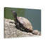 Wall Art on Canvas