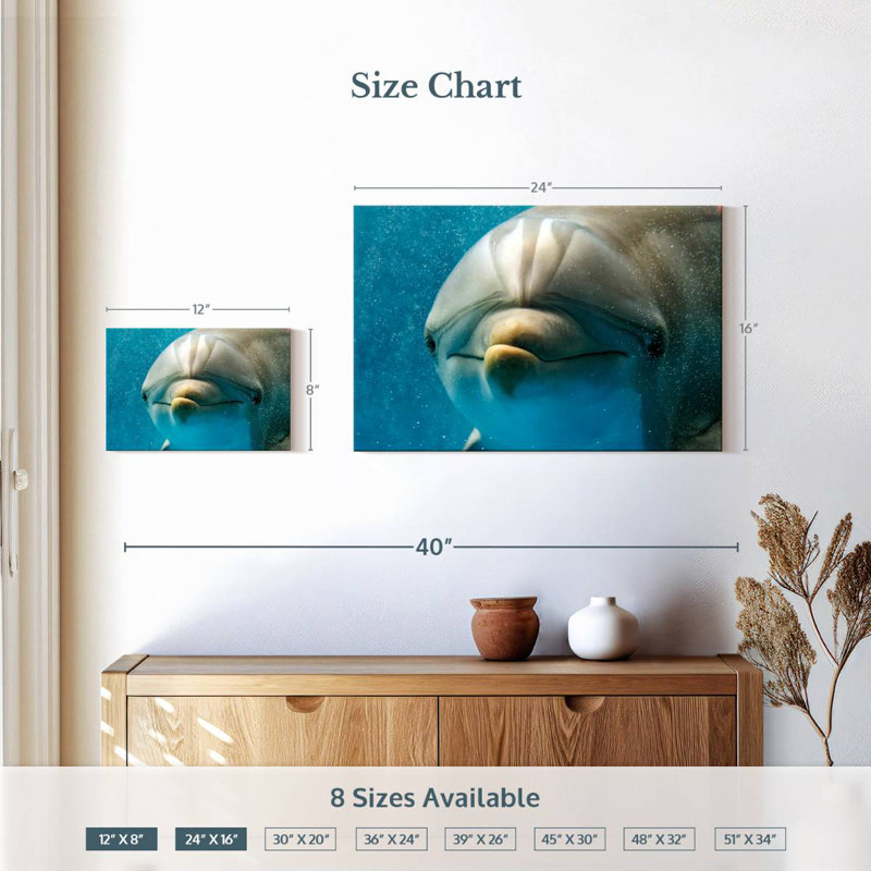 Brampt Nosy Dolphin, 16" H x 24" W