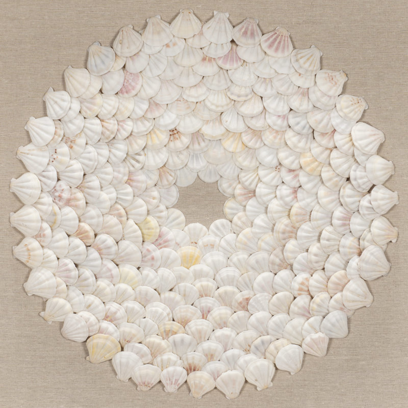 Décoration murale coquillages