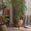 Pot rond en argile magnésienne-614621617-614621619