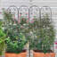 Ensemble de 2 treillis de jardin en métal 86,7 "x 19,7" antirouille pour plantes grimpantes support de fleurs extérieur noir