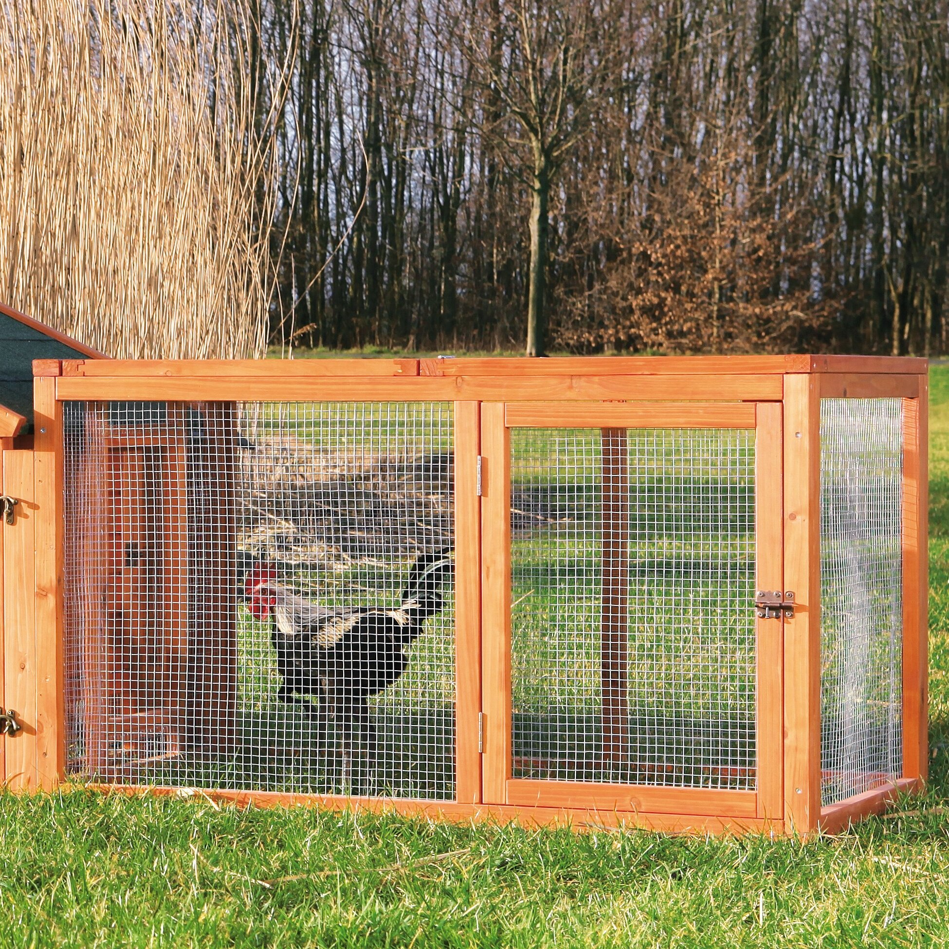 Trixie Natura 8.8 Square Feet Chicken Run For Up To 1 Chickens & Reviews |  Wayfair