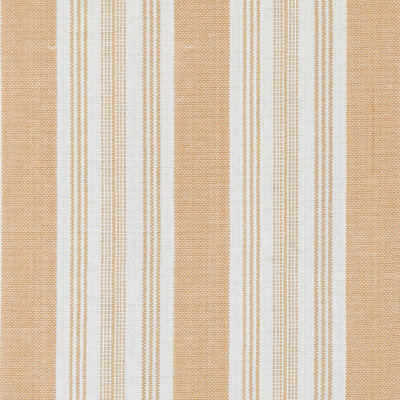 Palmdale Stripes Fabric
