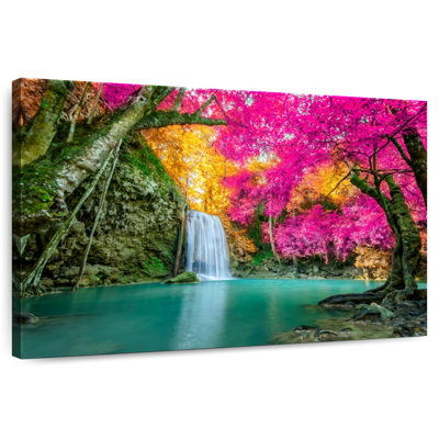 Cascade de la forêt d'Alvord