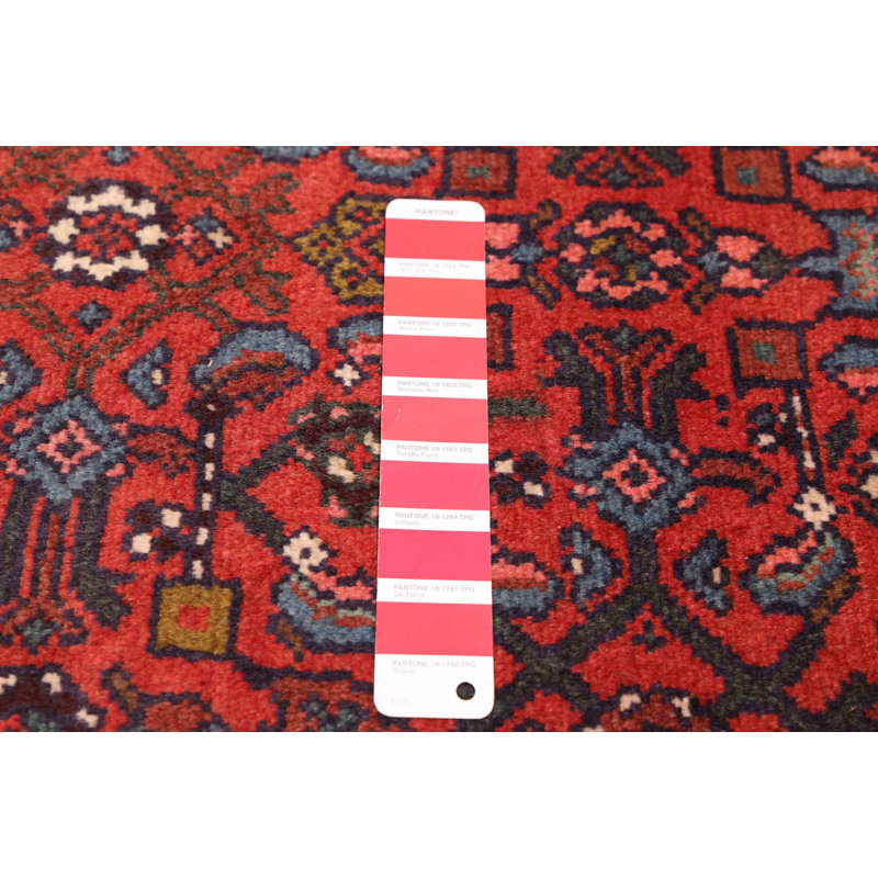 Tapis rouge Andelz 2 pi 9 po x 10 pi 4 po