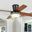 Ventilateur de plafond noir encastré de 112 cm (44 po) avec lumière, télécommande et application de contrôle, moteur CC silencieux réversible à 6 vitesses pour chambre et salon-843477312