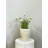 Dahlia Drop-In and Stone Pot