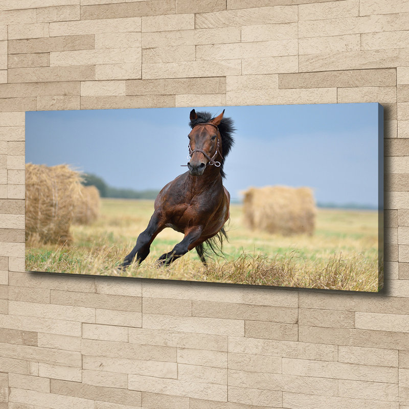 Horse In Gallop - No Frame Print on Canvas