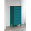 Delrick 6 Drawer 50Cm W Tallboy-306199998