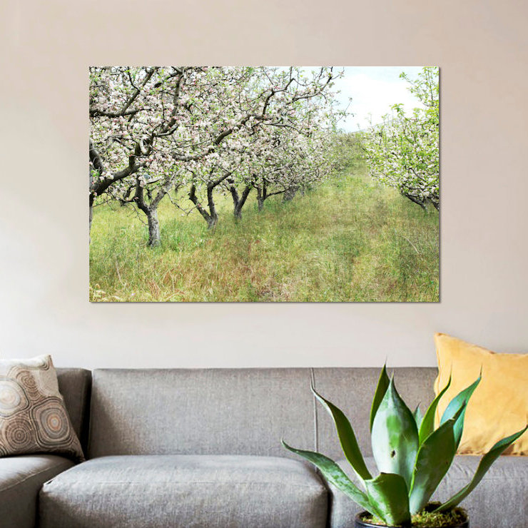 « apple verge », reproduction de photo sur toile, H 18 po x l 26 po x P 1,5 po, Toile avec cadre noir, Pas de tapis