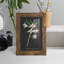 Orchidée sur ardoise IV - reproduction d'un seul cadre photo-1011406695-1011406684