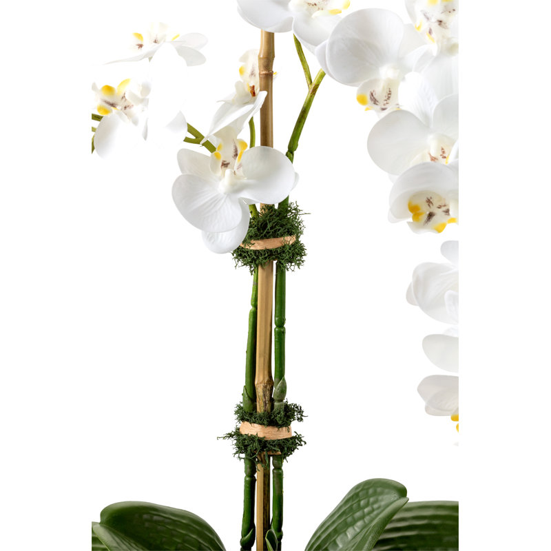 Adeline Gold Realtouch Orchid, Double Orchid