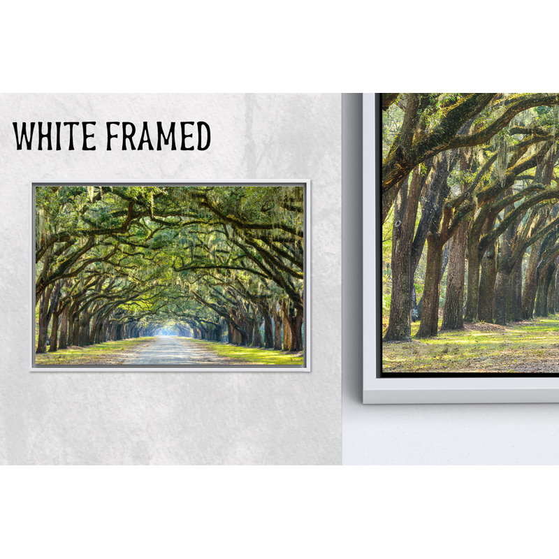 Art sur toile de chênes de Savannah: impression murale ligne de forêt, toile blanche encadrée 1P, 23,7 po H x 31,6 po l