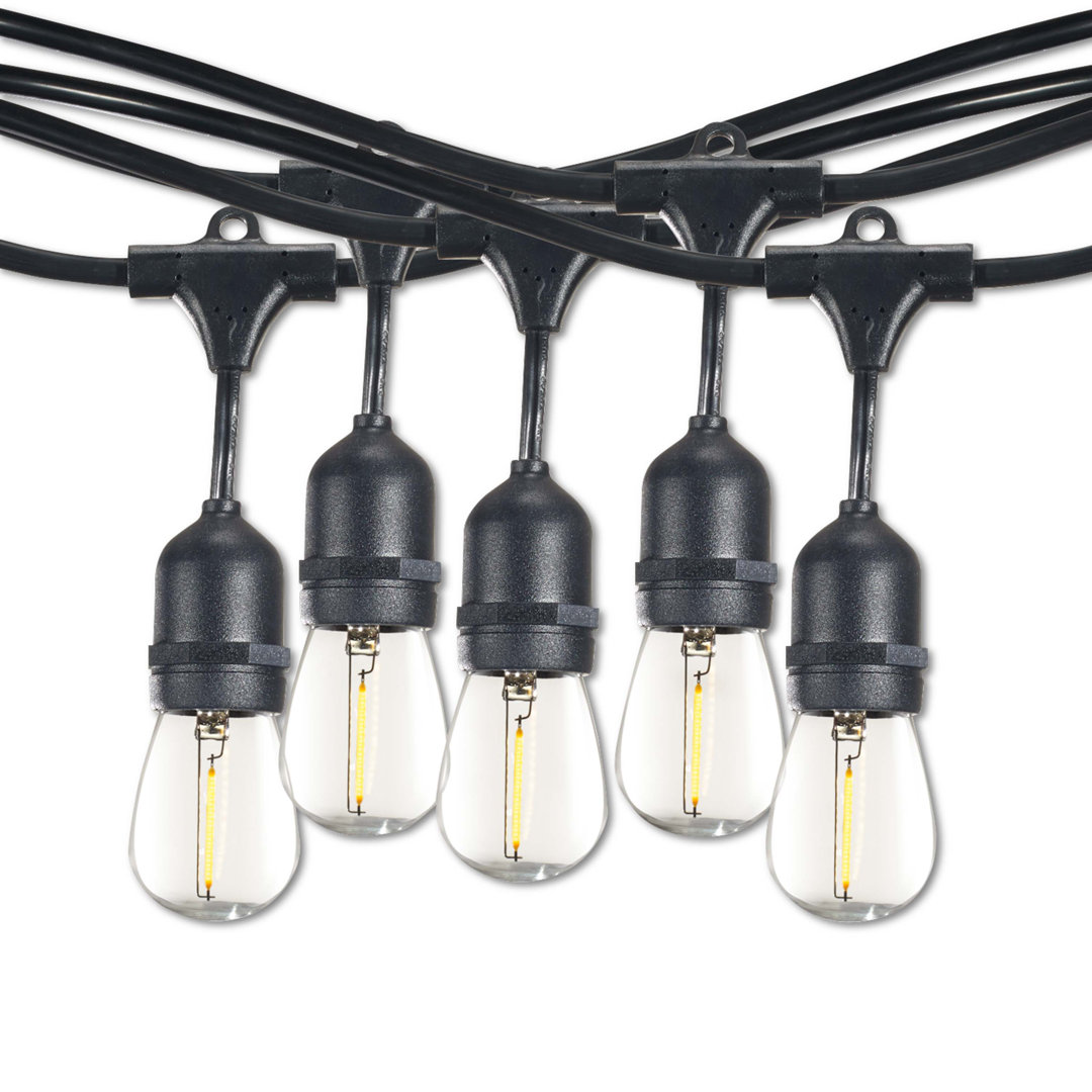 14-ft Outdoor 10 - Bulb Standard LED String Light (End to End Connectable) (Set of 2) Bulbrite Industries