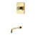 Polished Brass