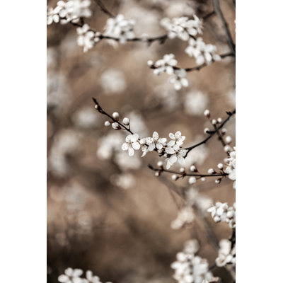 1 Piece Wrapped Canvas Wall Art