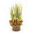 29'' Plant in Wicker/Rattan Planter