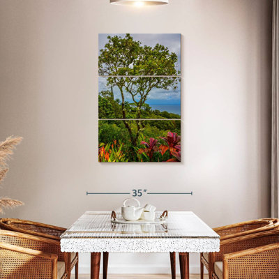 Harnek, Hawaï, arbres tropicaux