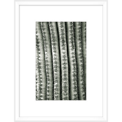 Silver Spike Small 5 Framed Photographic Print