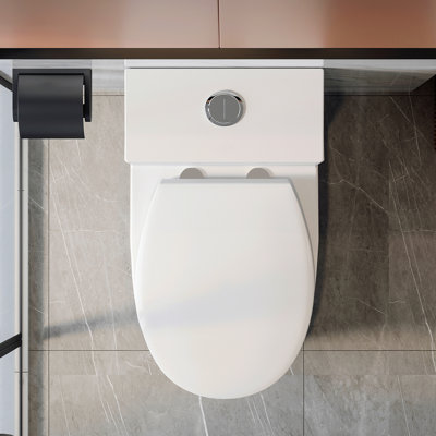 Toilette une pièce Arlo, fauteuil brut 10 po, hauteur de chaise ADA 17,3 po, chasse double 1,1 / 1,6 GPF, conception allongée et peu encombrante.