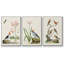 Oiseaux antiques dans la nature IV, encadré sur toile, 3 pièces-91887543-91887541