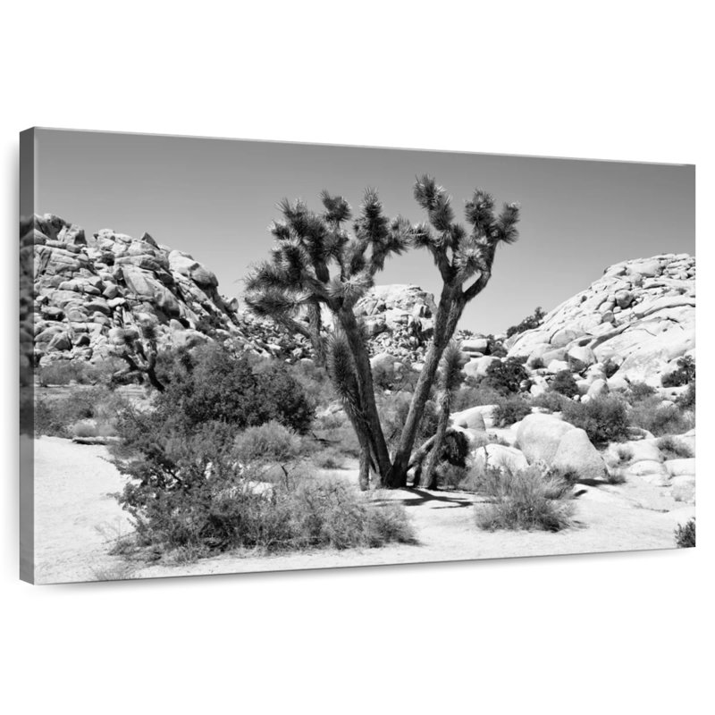 Arizona noir - Joshua Tree II, H 8 po x l 12 po