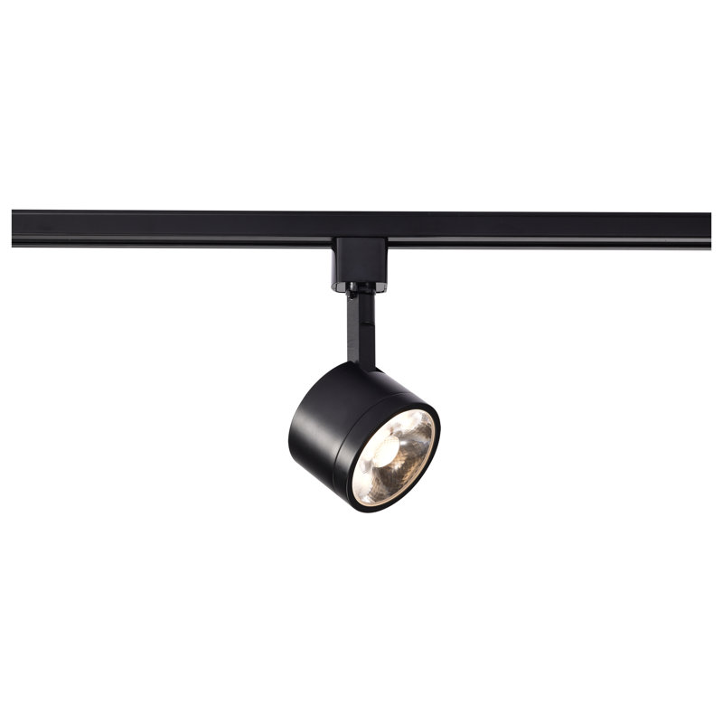 Tête de rail d'éclairage Nuvo Lighting, Noir, 36°