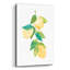 «Summer Lemons II» par Courtney Prahl, art mural en verre acrylique-1196834830