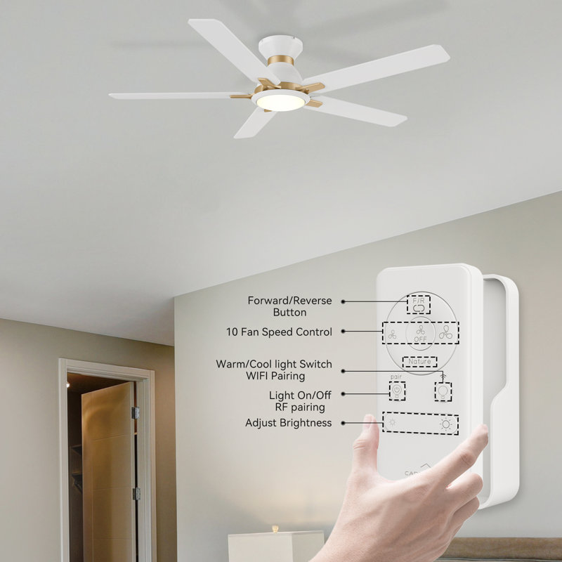 52" Smart Ceiling Fan with Light, White Gold, White