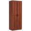 Armoire de rangement à 2 portes