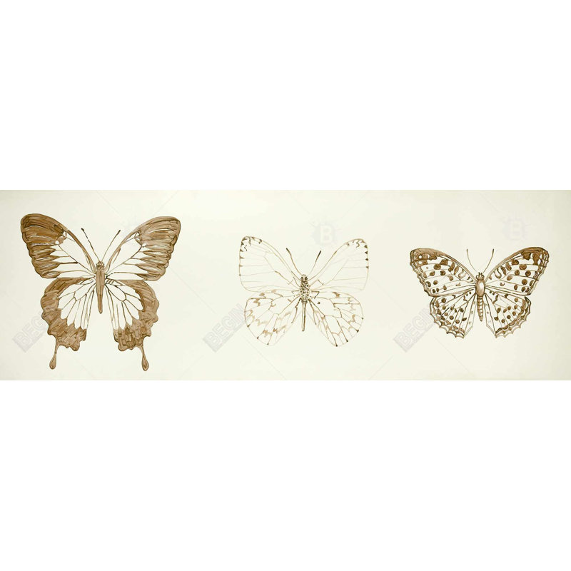 "Croquis de papillons" sur toile