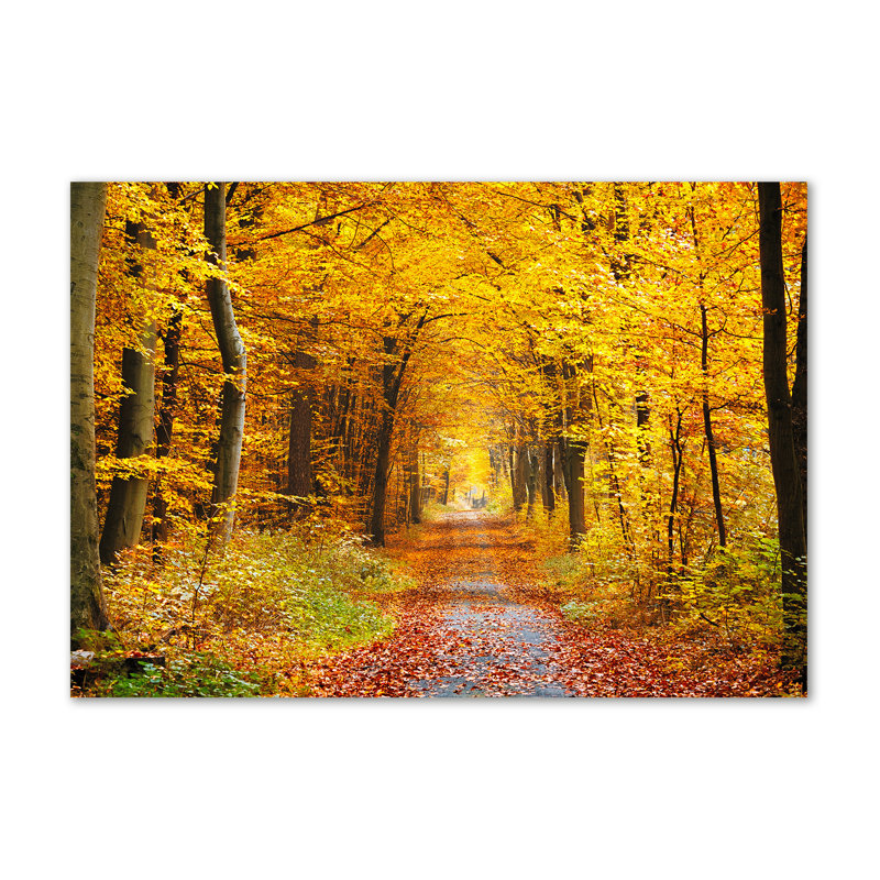 Autumn Forest - Wrapped Canvas Print