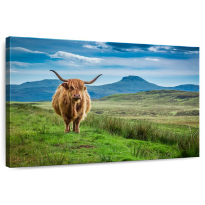 Brampt Skye Highland Cow