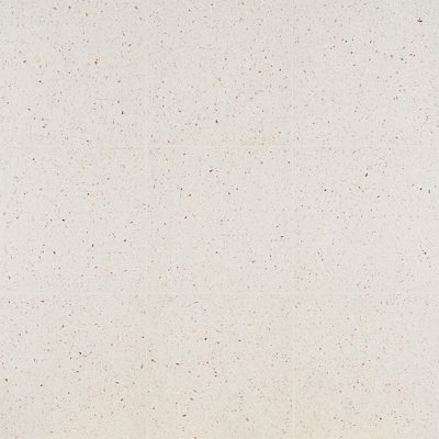 Carreau de sol et de mur en poli Durham de 16,14 po x 16,14 po Durham (3,61 pieds carrés / caisse)
