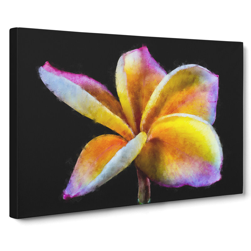 Frangipani Flower - Wrapped Canvas, 50cm H x 76cm W x 3cm D