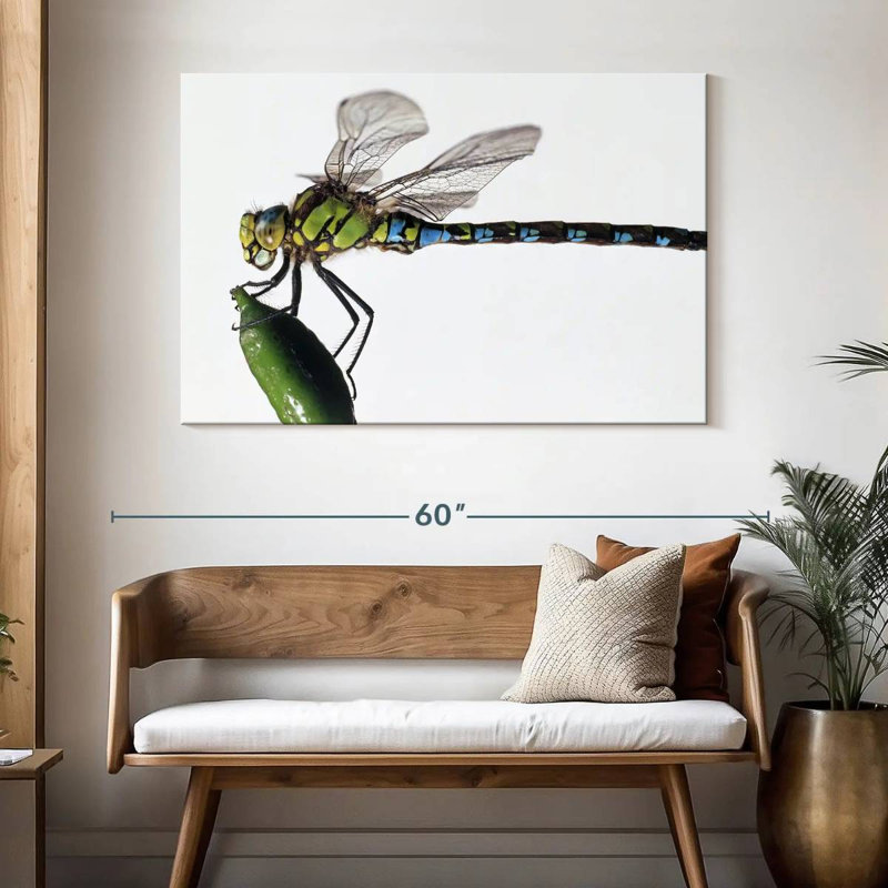 Green Darner Dragonfly, H 32 po x l 48 po
