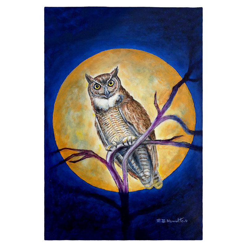 Linge à motif de hibou dans la lune