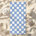 Starfish checkered