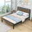 Bleiweiss Metal Platform Bed-1847935589-1847935586