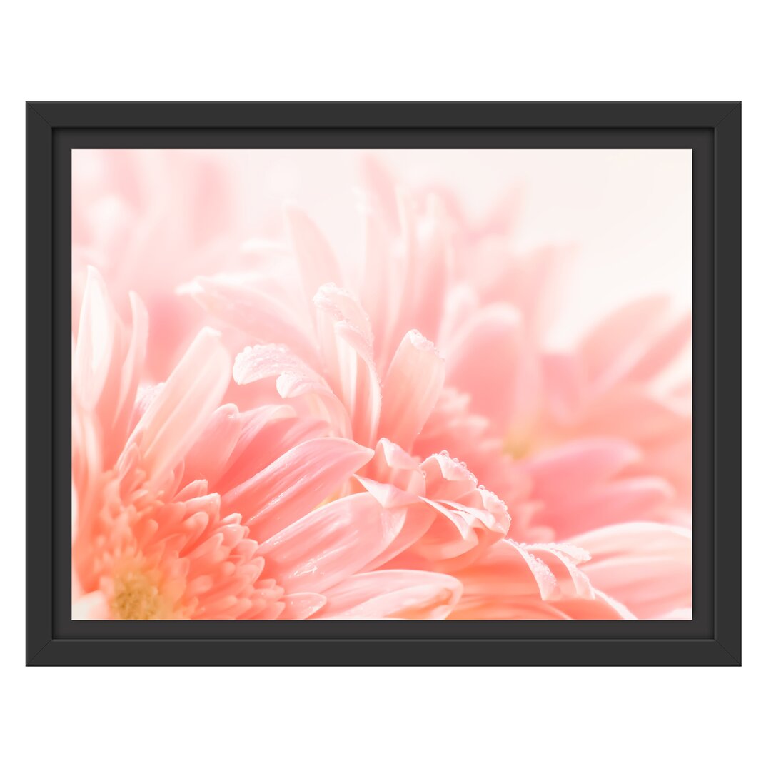 Gerahmtes Wandbild Gerbera Blume