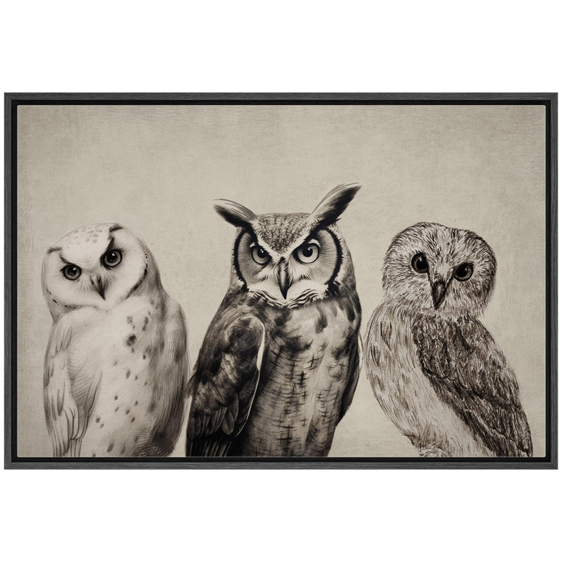 Oiseau, oiseau, bicolore, hibou, H 24 po x l 36 po x P 1,5 po, Noir, noir, noir, noir