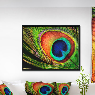 «Peacock Feather», impression