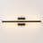 Layron Dimmable LED Vanity Light