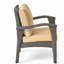 Timeless Elegance, une chaise décorative pour le salon-822672334